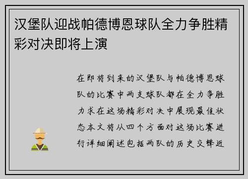 汉堡队迎战帕德博恩球队全力争胜精彩对决即将上演