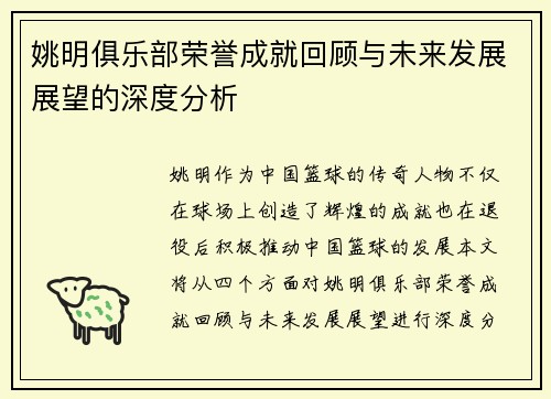 姚明俱乐部荣誉成就回顾与未来发展展望的深度分析