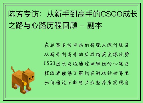 陈芳专访：从新手到高手的CSGO成长之路与心路历程回顾 - 副本